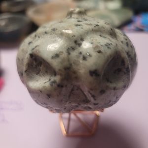 Kiwi Jasper  pumpkins